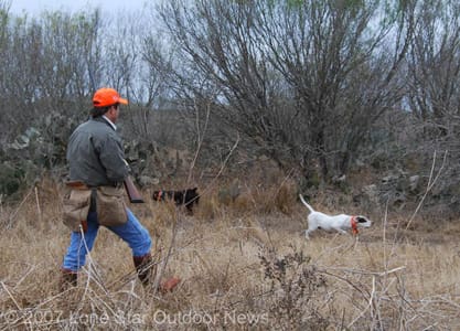 quail2