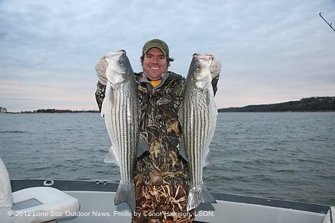 STRIPER ACTION: Conor Harrison holds a pair of big stripers that guide Chris Carey found in 45-feet of water. Photo by Conor Harrison, LSON. IMG 6016