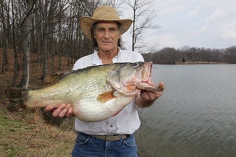 arkansas record