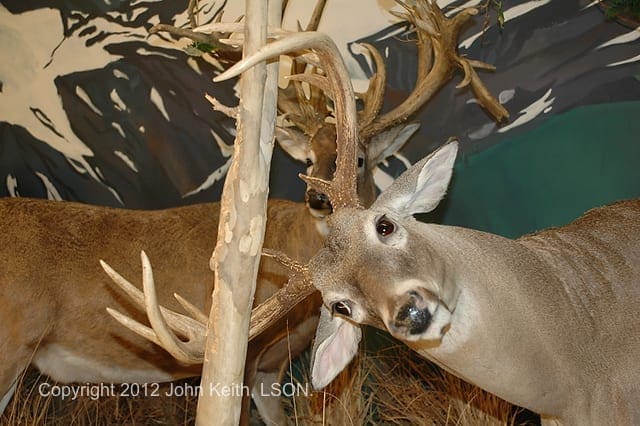 Photo by John Keith, LSON. DSC 0201