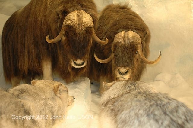 Photo by John Keith, LSON. DSC 0211