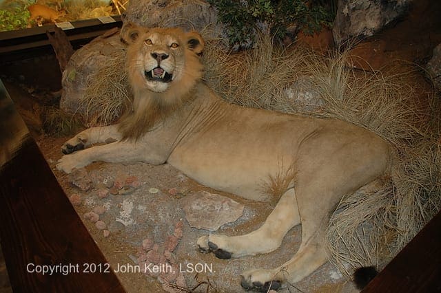 Photo by John Keith, LSON. DSC 0236