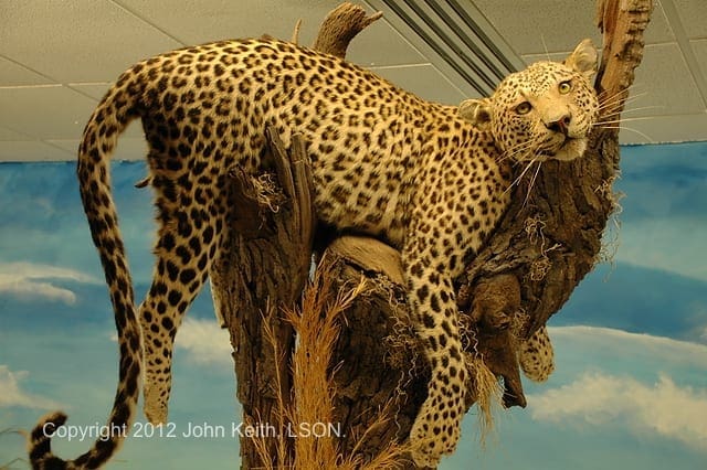 Photo by John Keith, LSON. DSC 0239