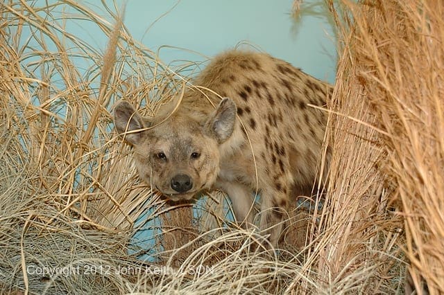 Photo by John Keith, LSON. DSC 0242