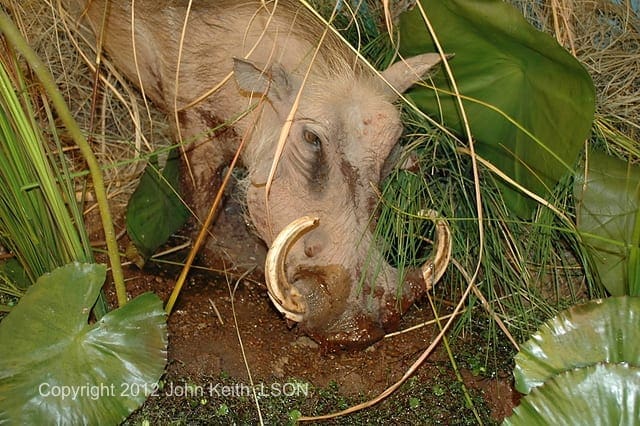 Photo by John Keith, LSON. DSC 0249