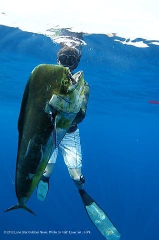 BLUE WATER HUNTERS: Mahi mahi hang near oil rigs, but often stay 50-100 yards off the rigs. Photo by Keith Love. spearjump2