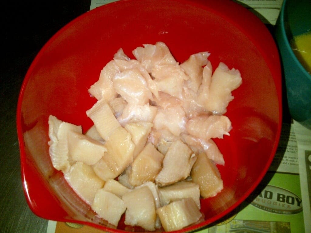SLICED AND DICED: Once the fish was cubed, it was ready to get coated with the lemon pepper mixture. Photo by LSON. bowl