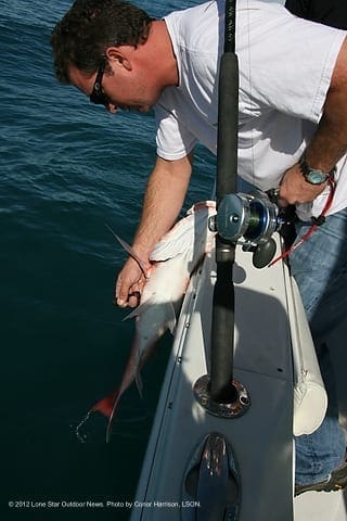POPPING TIME: Andrew vents a snapper ready for release. Photo by Conor Harrison, LSON. asnapper3