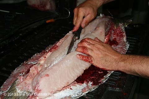 aagarfillet