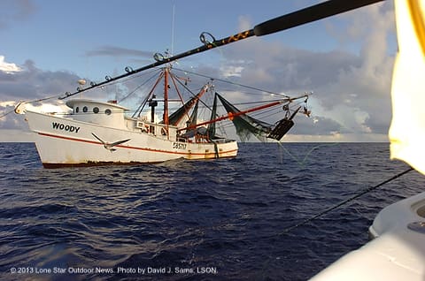 aashrimper