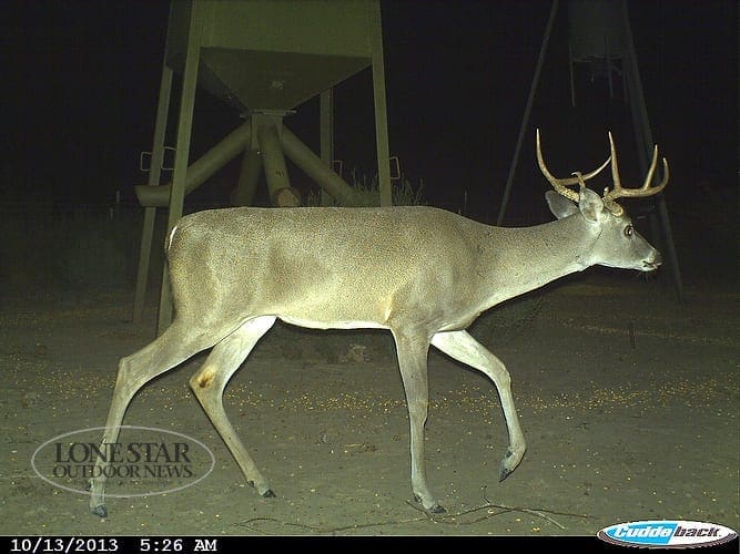 7point