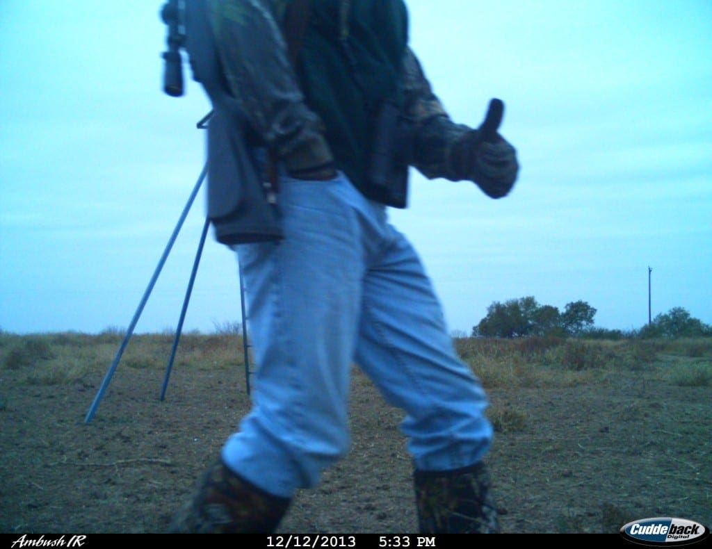 DEER CAMERA TRAP Wilson TXI 170474