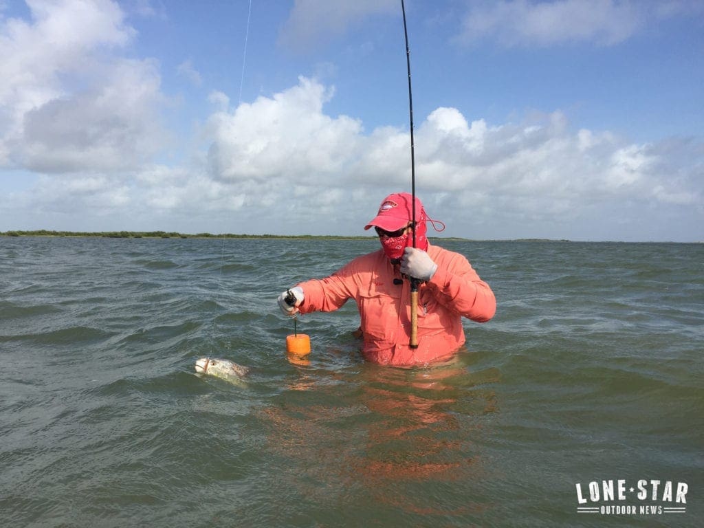 1 fish