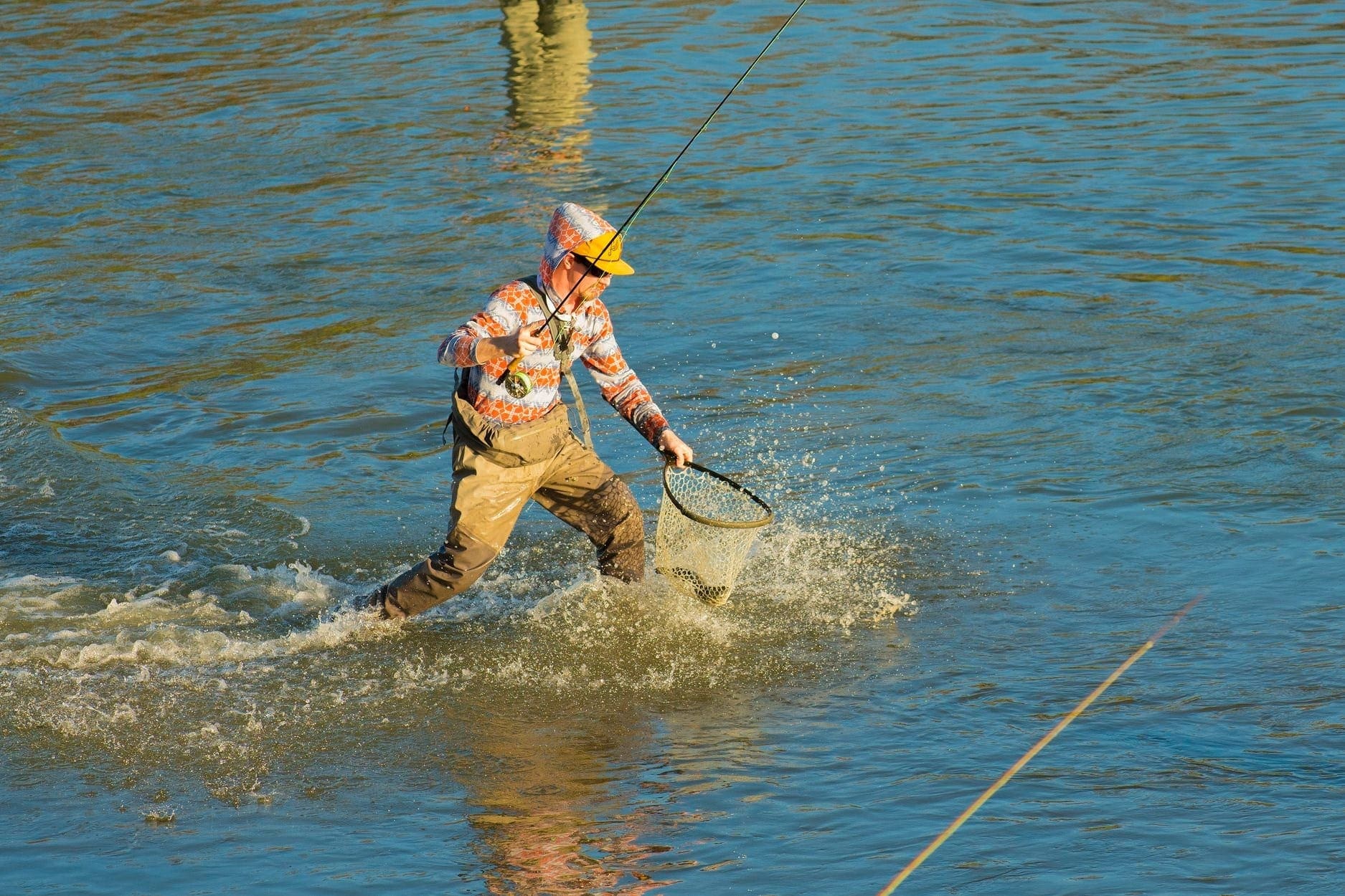 trout
