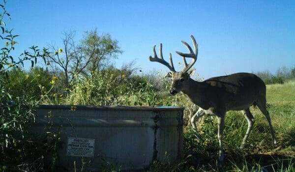 Texas hunting season dates