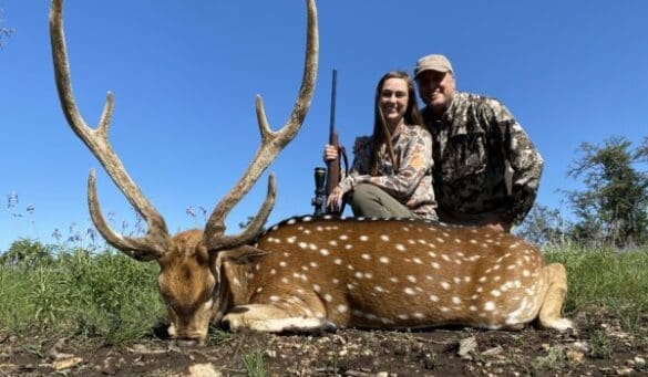 Hunting my first axis buck