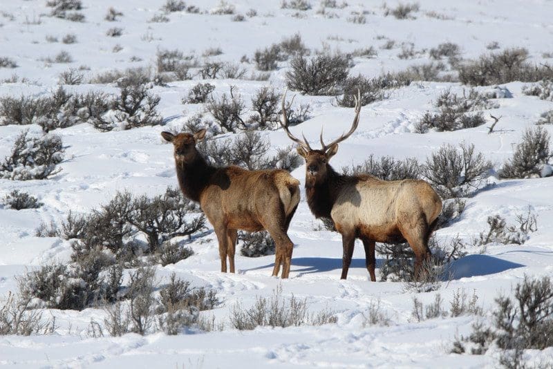 Lay Creek Colorado