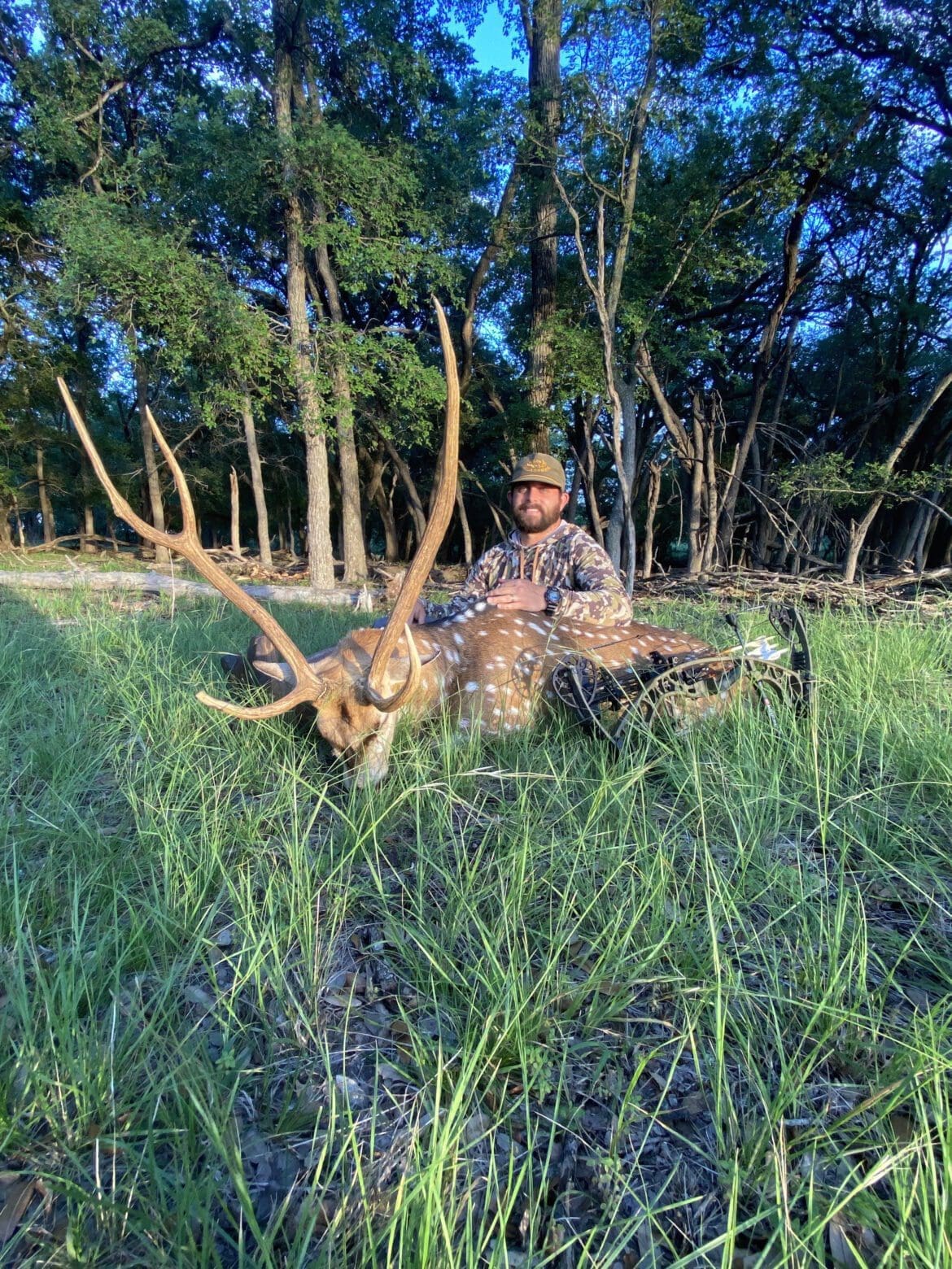 axis hunting