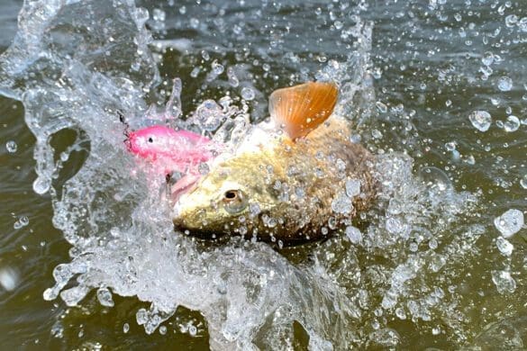 working tides for redfish