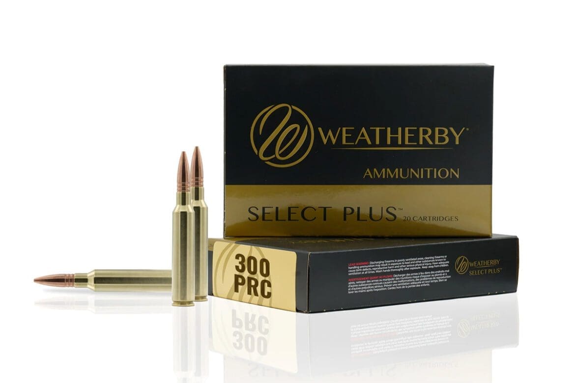 non-weatherby cartridge