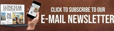 LSON Newsletter